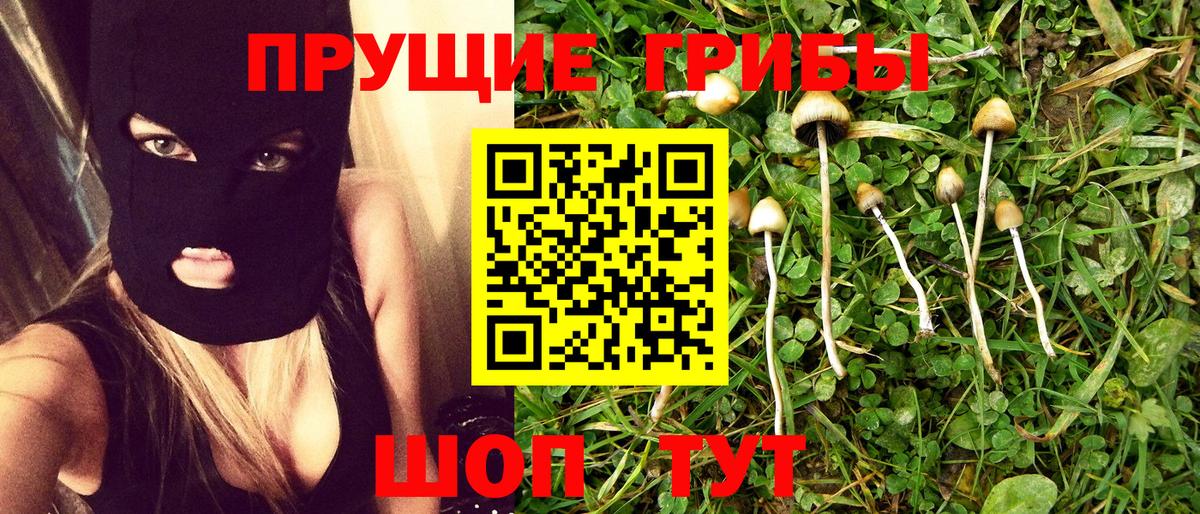 Галлюциногенные грибы MAGIC MUSHROOMS Грязи
